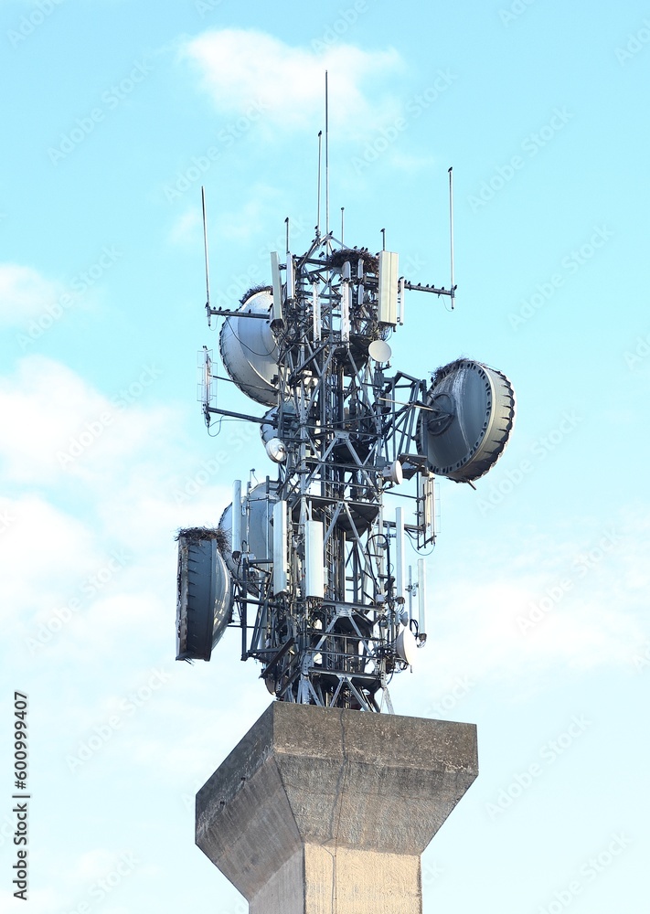 Colonization, birds nesting on a set of TV antennas. and mobile phone repeaters