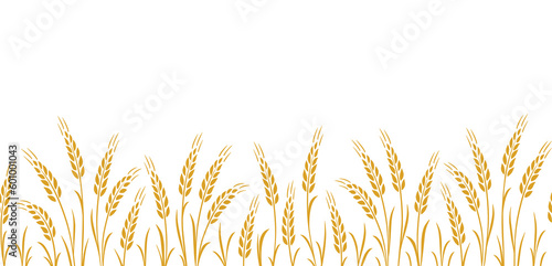 Seamless hand drawn wheat ears stalks pattern Fototapet