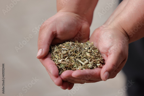 Zusatzfutter Pferd, Fütterung Pferd, Kräuter, Hustenkräuter