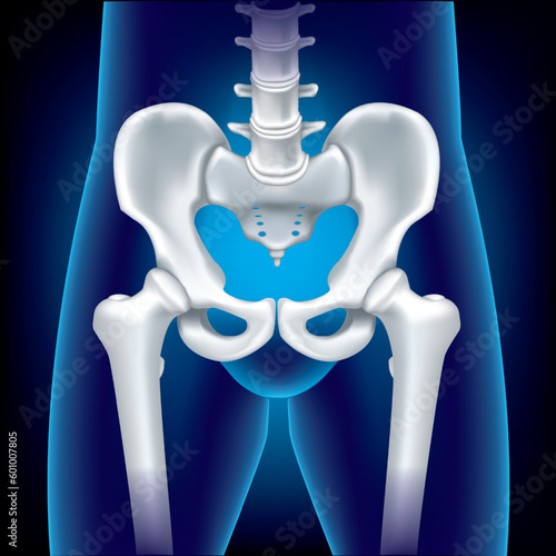 Close Up Human pelvis or Hip bone and Head Femur- 3D medical illustration- X ray blue film- Healthcare- Human Anatomy and Medical concept-Isolated on blue background.Illustration of a painful hip join