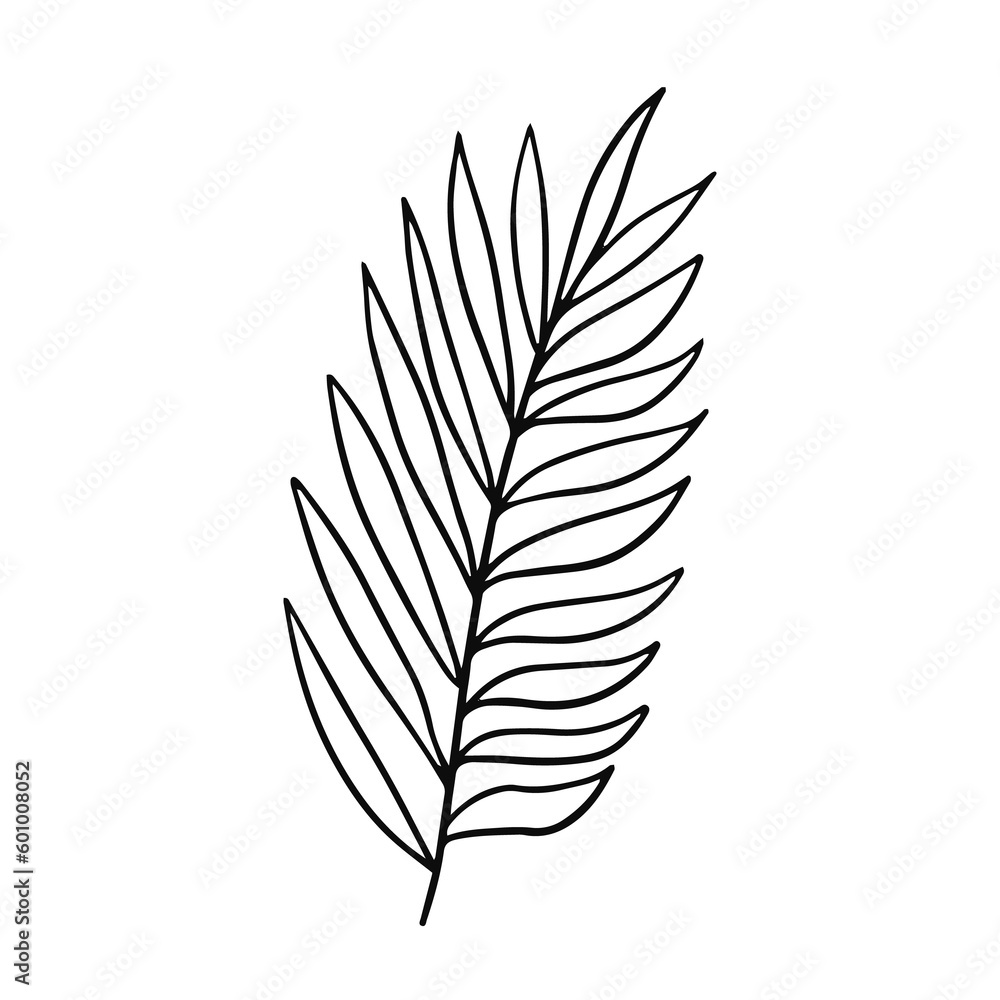 Line art black branch and leaves
