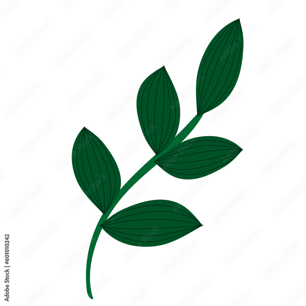 green twig on a white background. Design for logo, flyer, brand book green twig on a white background. Design for logo, flyer, brand book