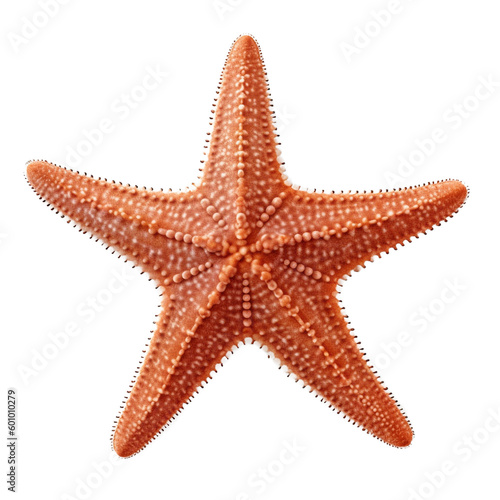 Fotografia starfish (ocean marine animal) isolated on transparent background