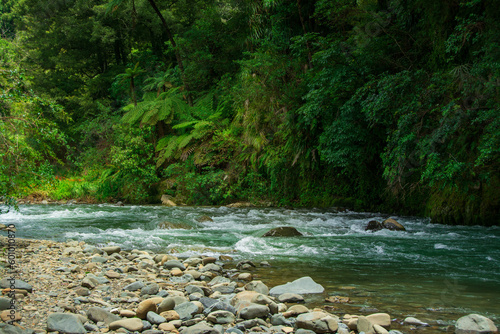 Fast river flowing through a rocky riverbed at the bottom of Waioeka Gorge, North Island, New Zealand photo