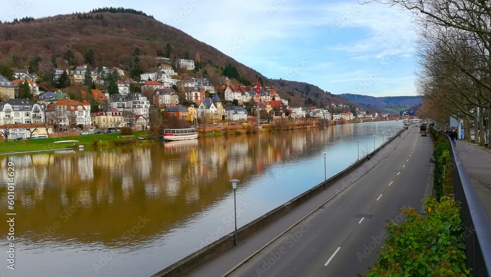Fototapeta premium rin river, germany 