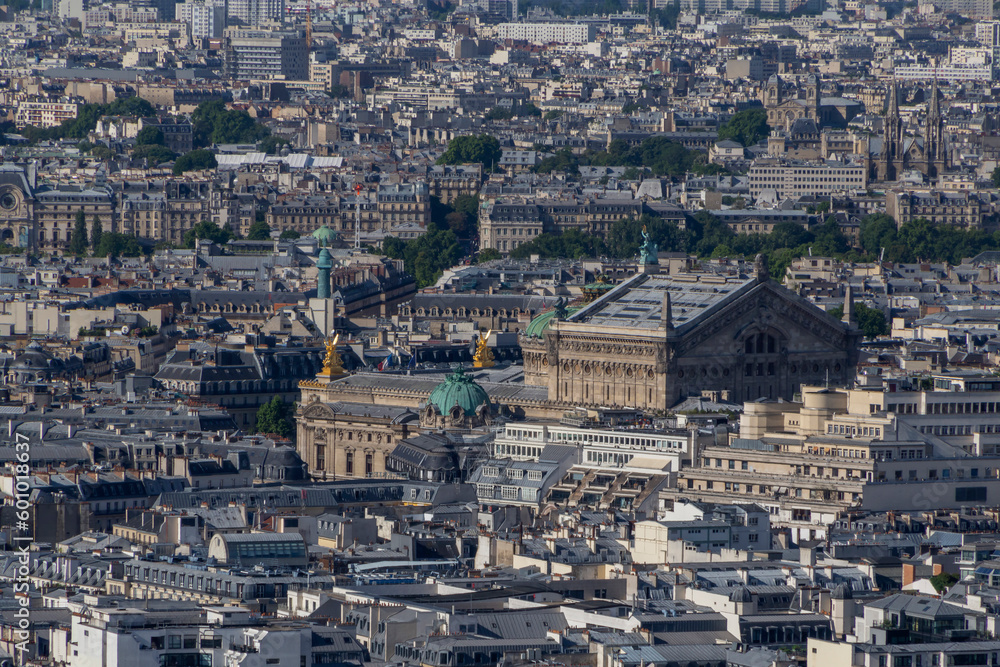 sight of Paris with Grand Palais at summer day