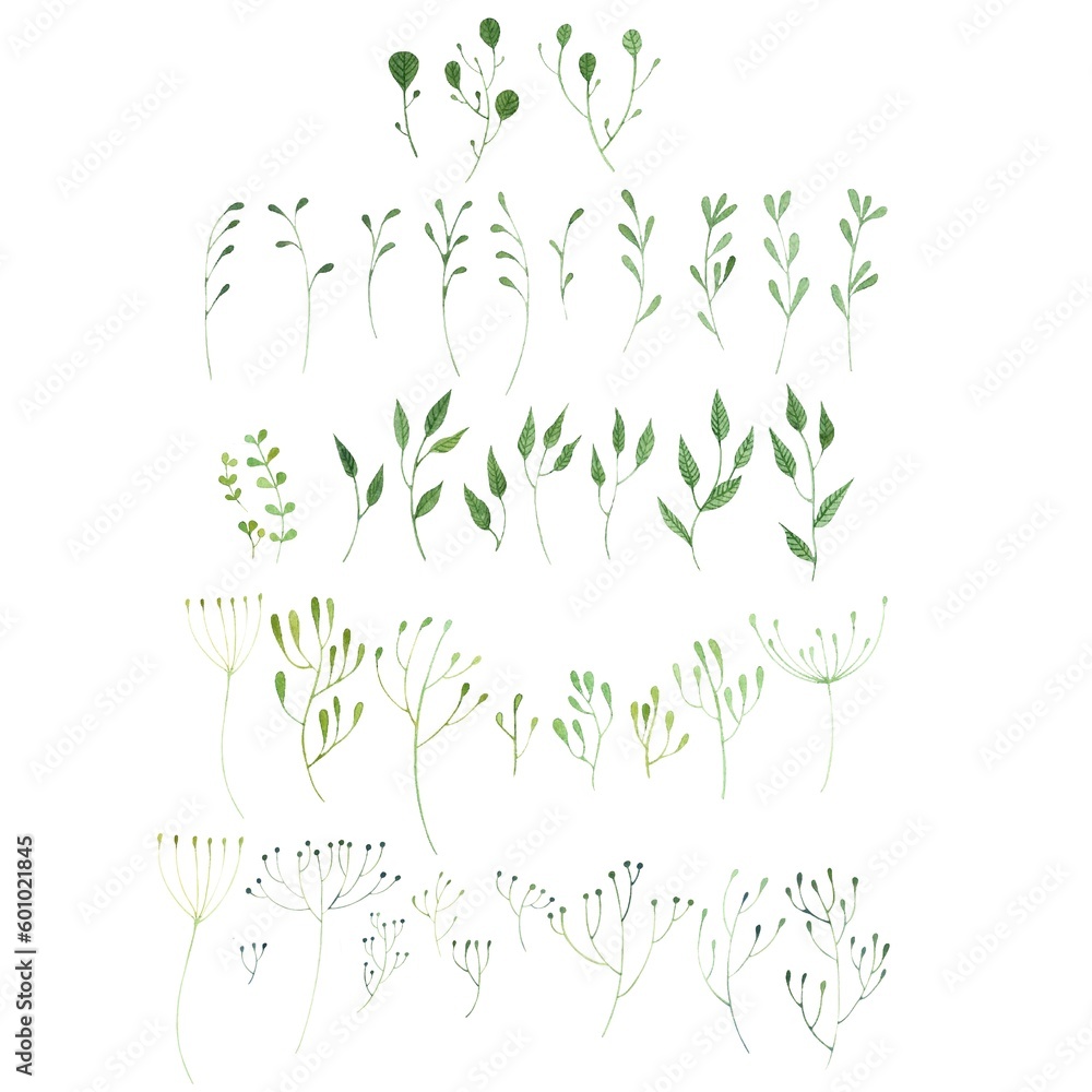 isolated, sprigs of herbs drawn in watercolor in hand technique, abstract green herbs, a set of herbs, branches with leaves, blades of grass