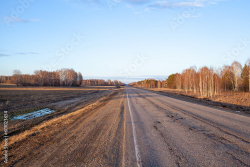 Country road with markings in the middle of the forest. Path and movement forward through forest and field in spring at sunset. Concept of success in future goal and time passing