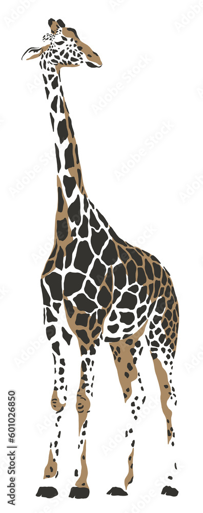 Obraz premium Giraffe safari animal jungle park tropic Africa savanna graphic art line print clipart scrapbooking sketch wild nature 