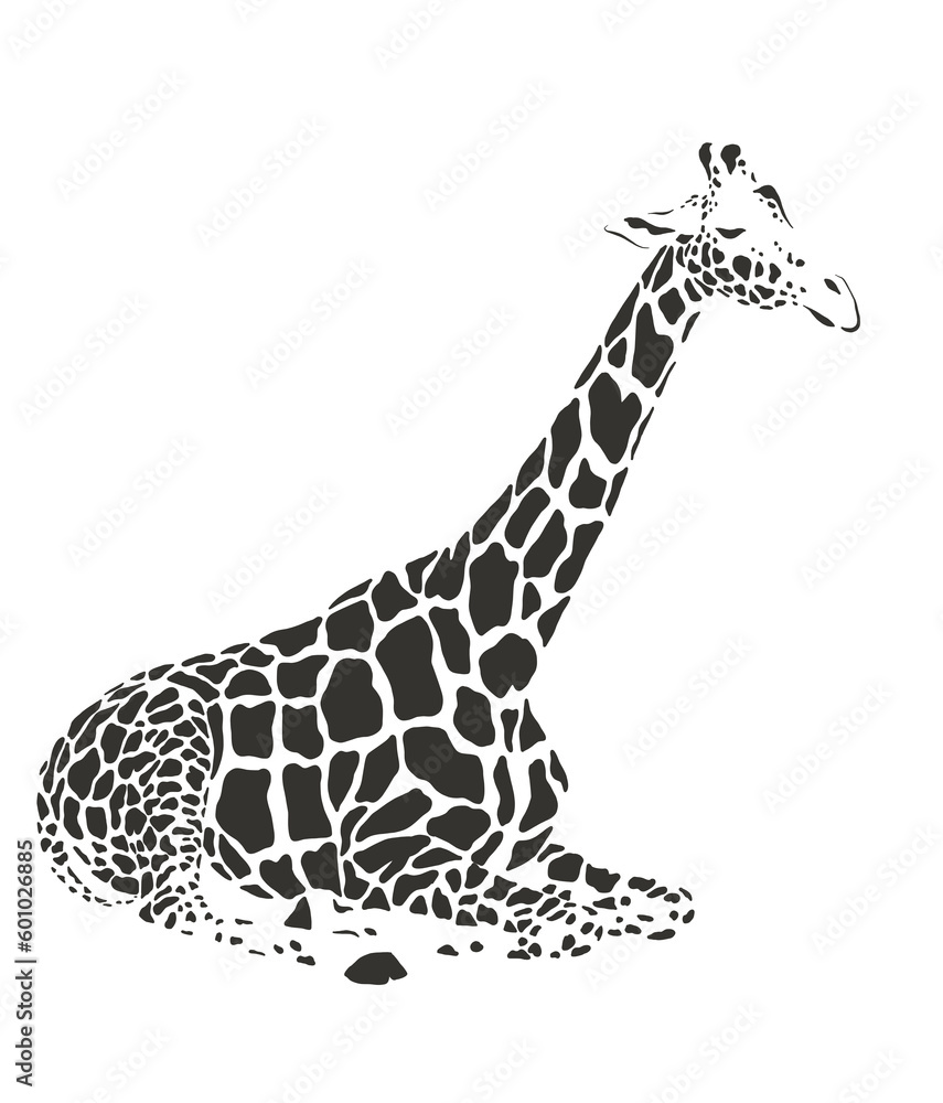 Obraz premium Giraffe safari animal jungle park tropic Africa savanna graphic art line print clipart scrapbooking sketch wild nature 
