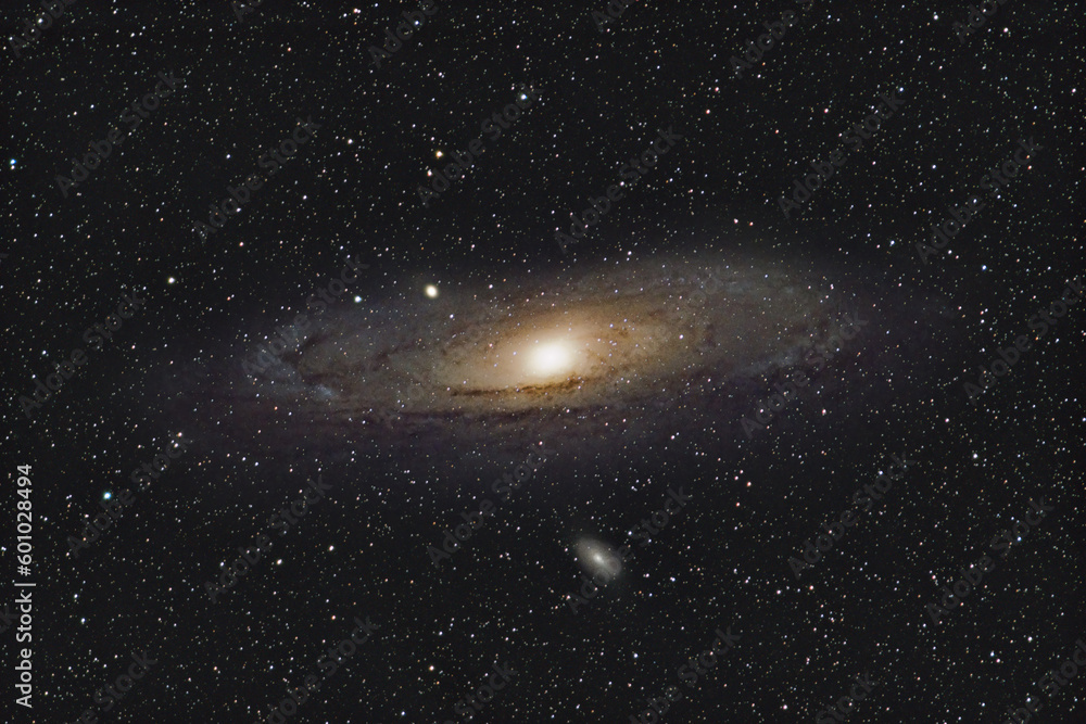 Fototapeta premium M31 Andromeda Galaxy