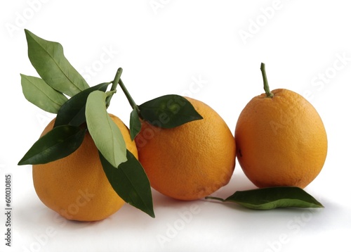 Fotografia sweet oranges as delicious tropical citrus fruits