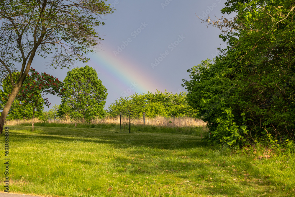 Obraz premium Beautiful rainbow near a open field