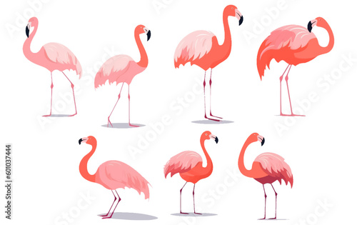 set vector collection illustration of tropical pink flamingo isolated on white background © terra.incognita