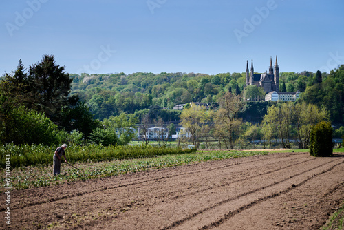 The pilgrimage church of St. Apollinaris in Remagen towers over a vernal field where a farmer is plowing in Unkel, Rhineland-Palatinate, Germany photo