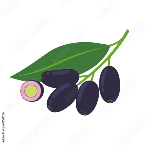 Jambolan plum and half isolated on white background. Syzygium cumini, jamun, jaman, jambul, malabar or Java plum icon. Vector illustration of tropical exotic fruits in flat style.