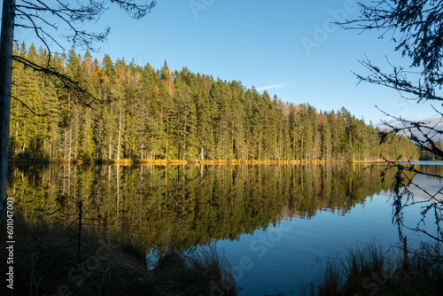 Autumn view of a lake and forest in Ludvika, Dalarna, Sweden. photo