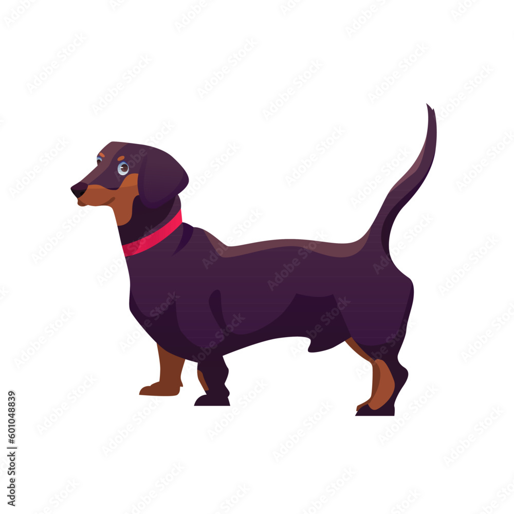 Dachshund Dog Breed. Vector Illustration in Cartoon Style. Cute Dog Character.