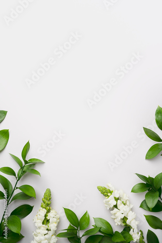 Natural green branches and white flowers on empty grey background with copy space. Trendy template with fresh leaves. Eco summer concept. Skin care product marketing. Minimal plant flat lay. Top view. photo