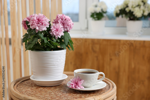 Beautiful chrysanthemum plant in flower pot and cup of coffee on wooden table indoors, space for text