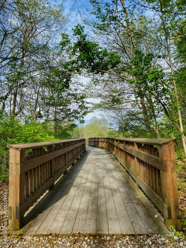 Highbanks Metro Park Wooden Walkway in Spring Forest