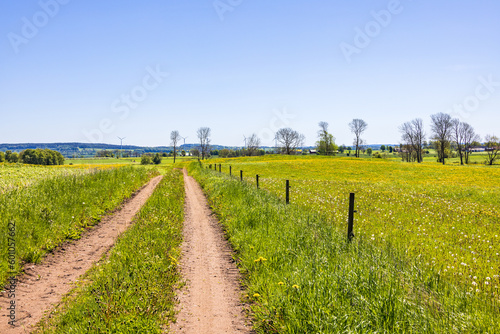 Dirt road in the countryside with flowering meadows