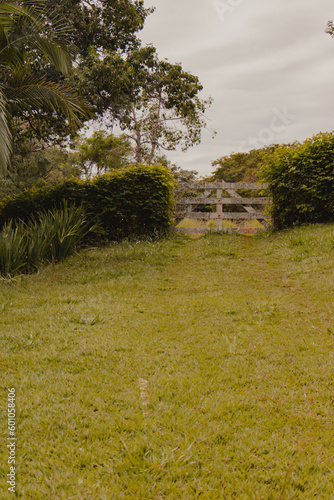 wood fance in a green grass garden
