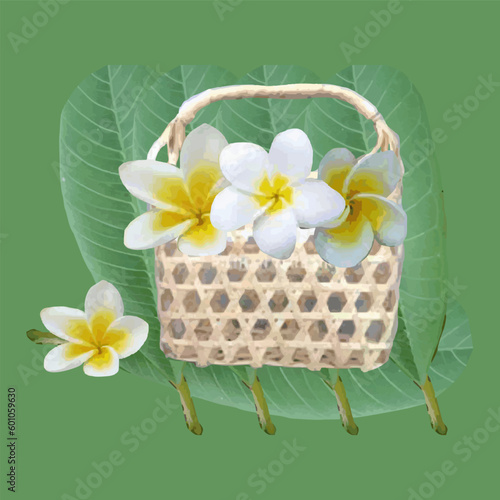 Illustration of frangipani flowers in a basket made of woven bamboo and rattan