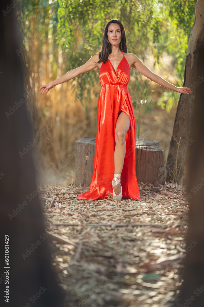 general shot of an attractive slim girl in the forest with an open red dress revealing her leg and ballerina shoes, framed between 2 trees, with her spleens outstretched. general shot of an attractive slim girl in the forest with an open red dress revealing her leg and ballerina shoes, framed between 2 trees, with her spleens outstretched.