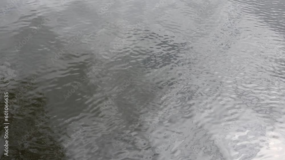 Light ripples on the water surface. The water surface of the lake Light ripples on the water surface. The water surface of the lake