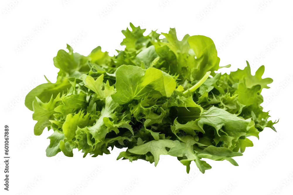 Fototapeta premium Green leaves salad for healthy food concept on transparent background. Generative Ai