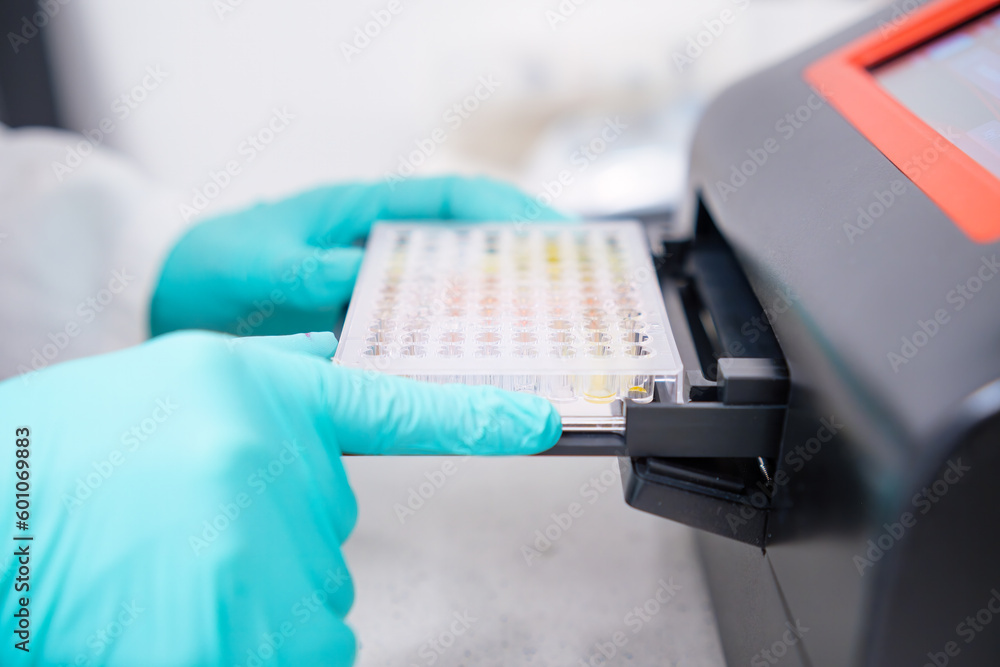 To perform microbiological analysis on multiple samples, a scientist inserts a microplate into a microplate spectrophotometer for biological analysis. To perform microbiological analysis on multiple samples, a scientist inserts a microplate into a microplate spectrophotometer for biological analysis.