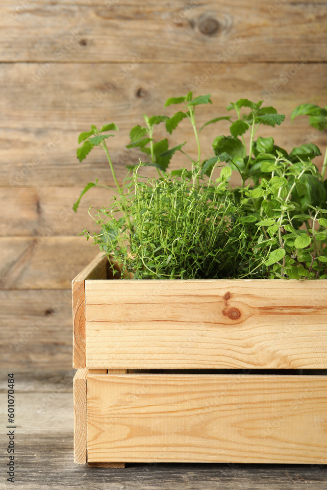 Crate with different aromatic herbs on wooden table Crate with different aromatic herbs on wooden table