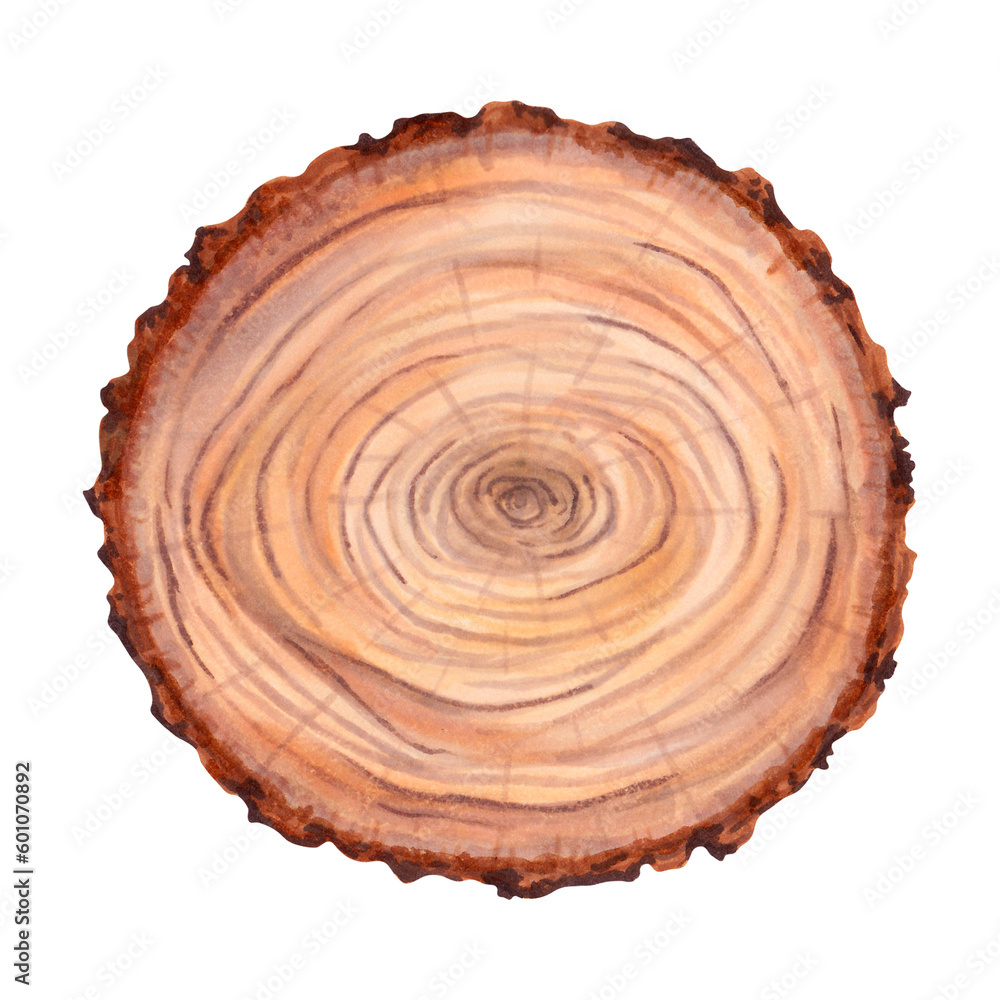 Wooden stump.A large round piece of wood in cross section with a ring texture and cracks. Natural flat wood surface. Illustration with markers and watercolor. Wooden stump.A large round piece of wood in cross section with a ring texture and cracks. Natural flat wood surface. Illustration with markers and watercolor.