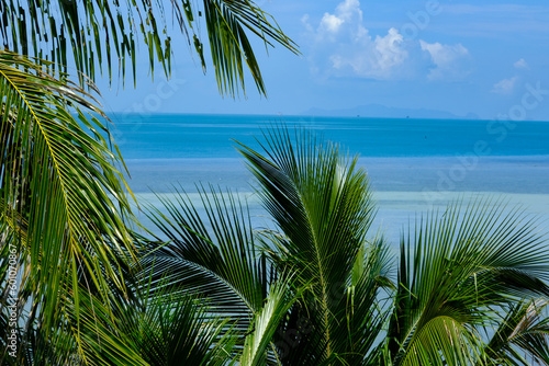 Window of Seascape: Palm Trees on the Beach