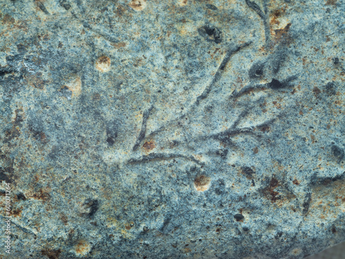 ancient imprints in stone