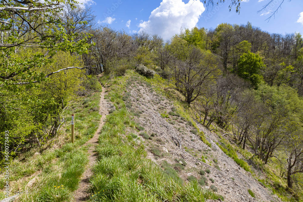 Fototapeta premium View of the path leading to Pianetto mount in the inland of Genoa, Italy