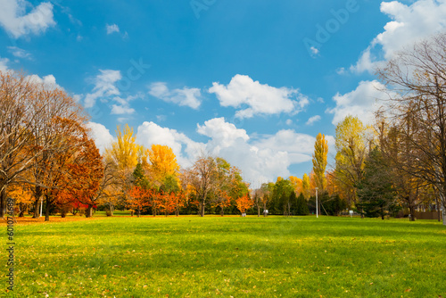 北海道大学の秋の風景 Fototapet