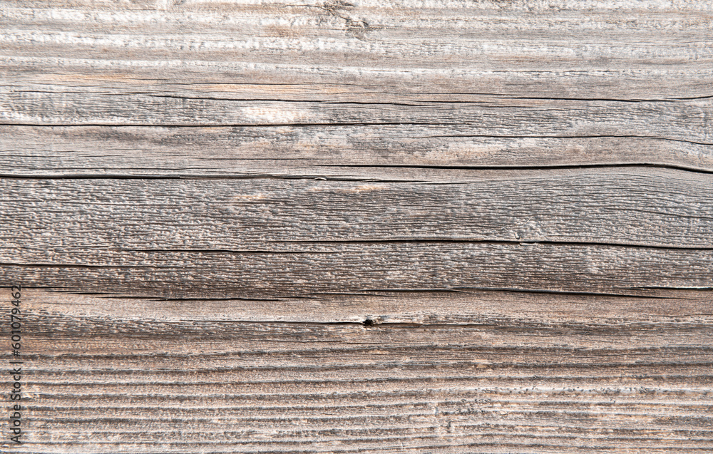 Background material of the natural wood. Background material of the natural wood.