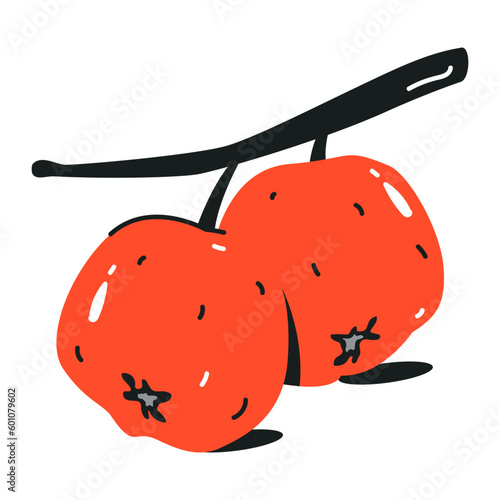 An attractive flat icon of cranberries