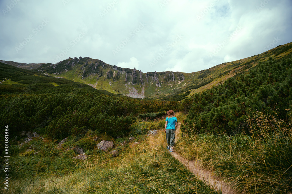 Fototapeta premium A woman hiker with a wide hat moves to the top of Spytsi mountain, Carpathians, Ukraine. He has a long stick in his hands. Travel and active recreation. Nature, flowers. Copy space