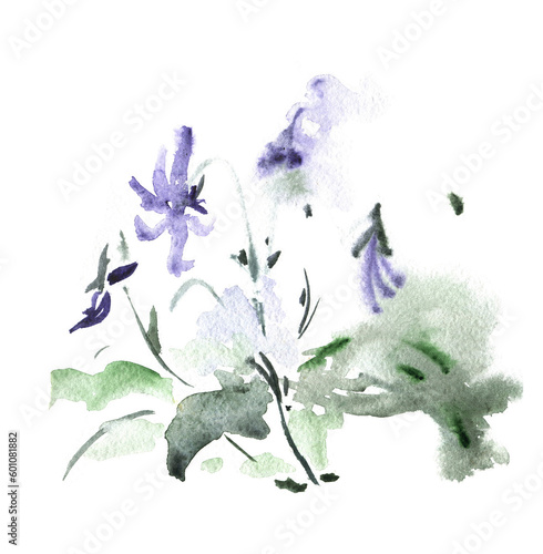 Bouquet of wild flowers. Illustration. Watercolor drawing  isolated on white background.