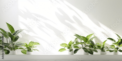 Minimal empty white marble stone counter table top, green house plants in sunlight, plant leaf shadow on beige wall, luxury organic cosmetic, skincare, beauty treatment product mock up background. AI © PEPPERPOT