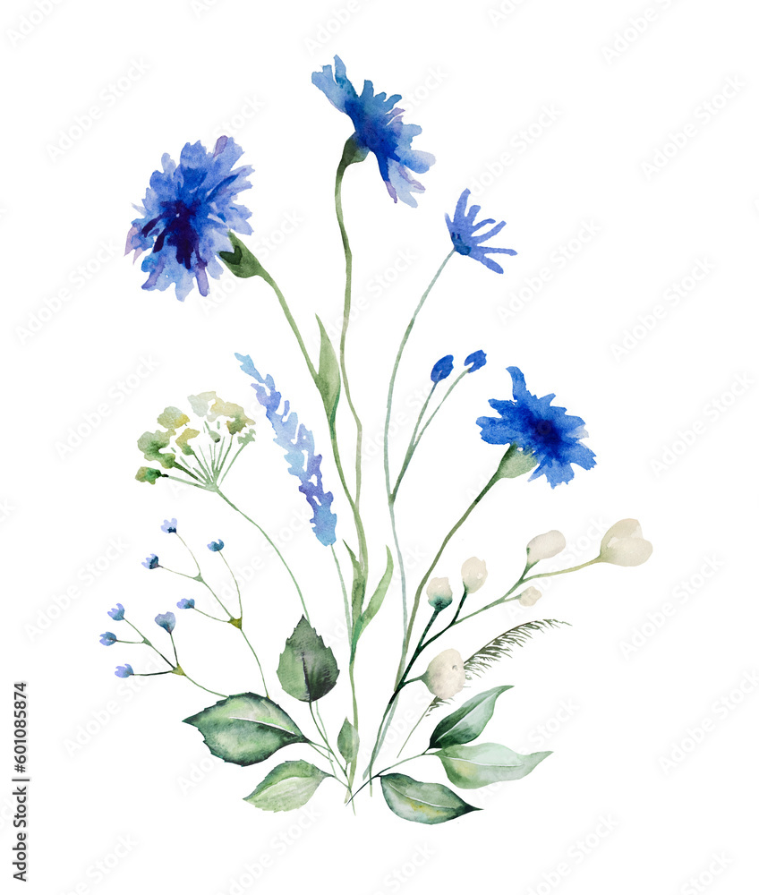 Fototapeta premium Watercolor blue cornflowers and wildflowers bouquet, summer wedding isolated illustration