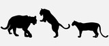 isolated black silhouette of a tiger, vector collection