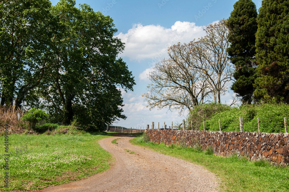 road in the park