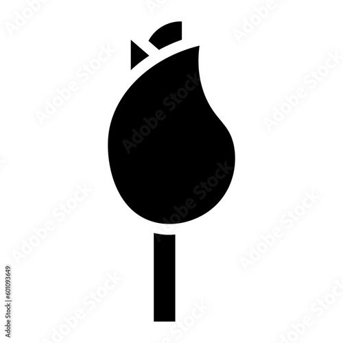 rose glyph 