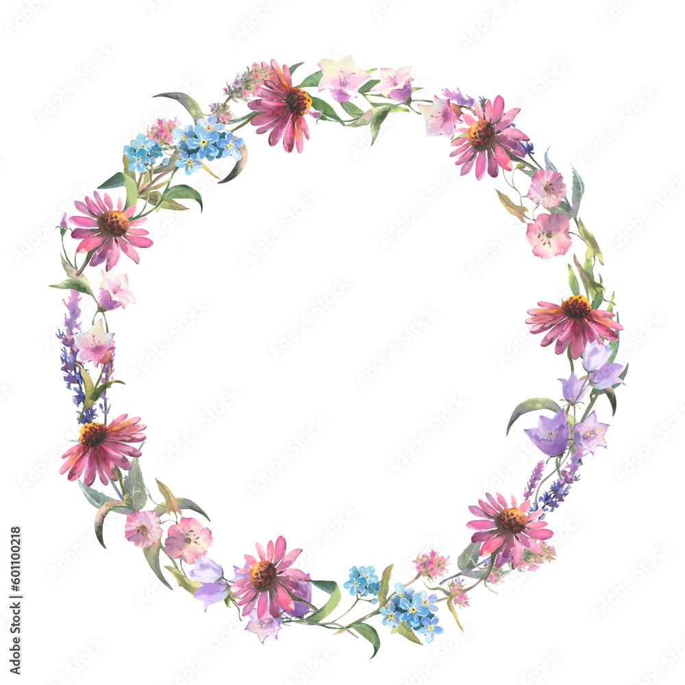 Floral wreath. Watercolor field flower round frame. Wildflowers isolated on white background. Meadow flowers circle border