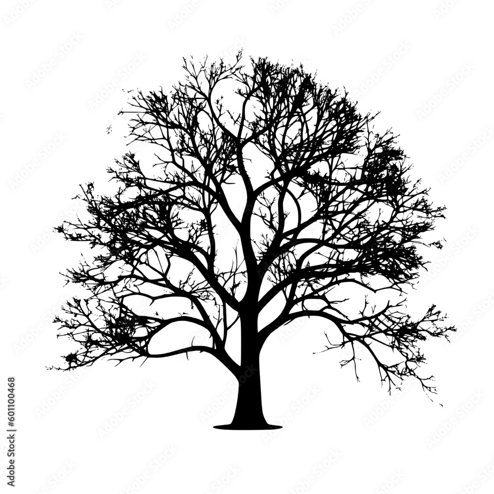 Obraz premium Tree Silhouette isolated on white background 