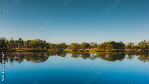 reflection of trees in the water © Stills+Motion